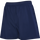 BLACK IRIS 2